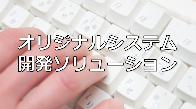 オリジナルシステム開発ソリューション