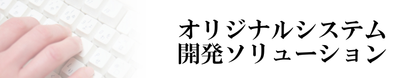 オリジナルシステム開発
